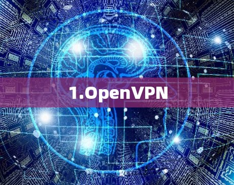 1.OpenVPN