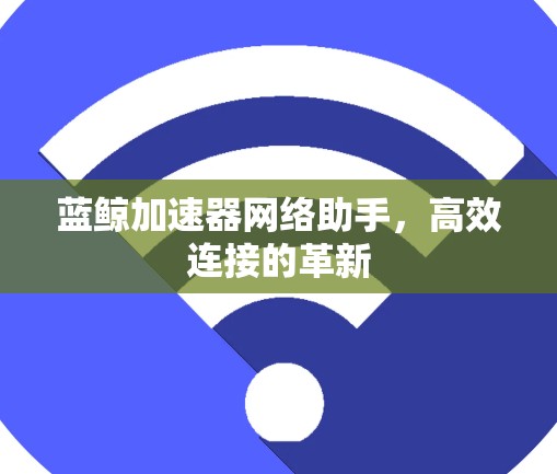 蓝鲸加速器网络助手，高效连接的革新