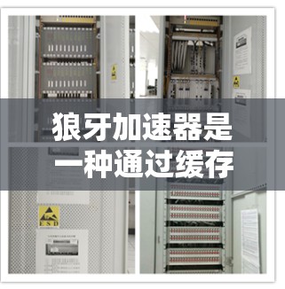 狼牙加速器是一种通过缓存技术优化手机应用下载和播放体验的软件。以下是对狼牙加速器的详细步骤说明